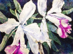 Hathaway, Brazil Botonical Orchids, Batik W,C,